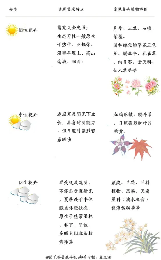 怎么养绿植叶子不发黄，怎样养花不容易死？