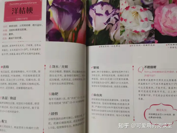 种花养花的书籍推荐，推荐家庭园艺书《零基础学养花》养花技巧+品种图鉴，养花速成！
