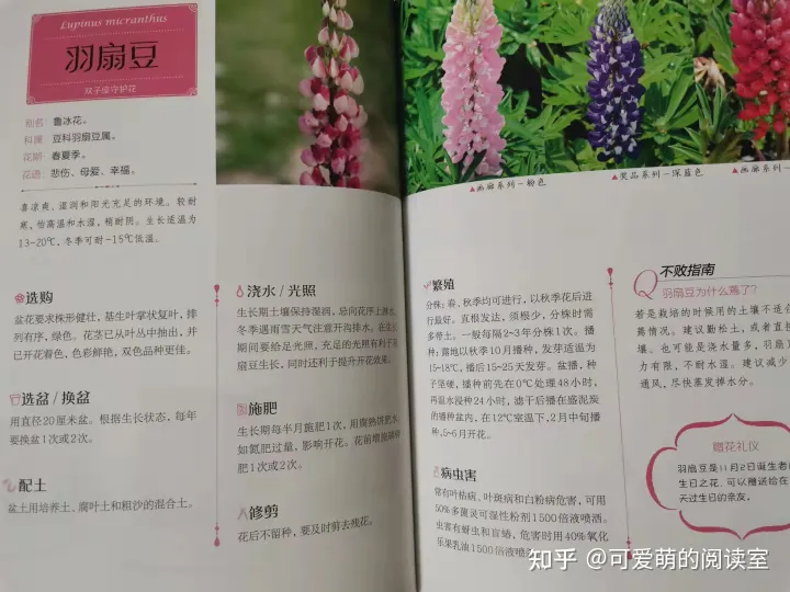 种花养花的书籍推荐，推荐家庭园艺书《零基础学养花》养花技巧+品种图鉴，养花速成！