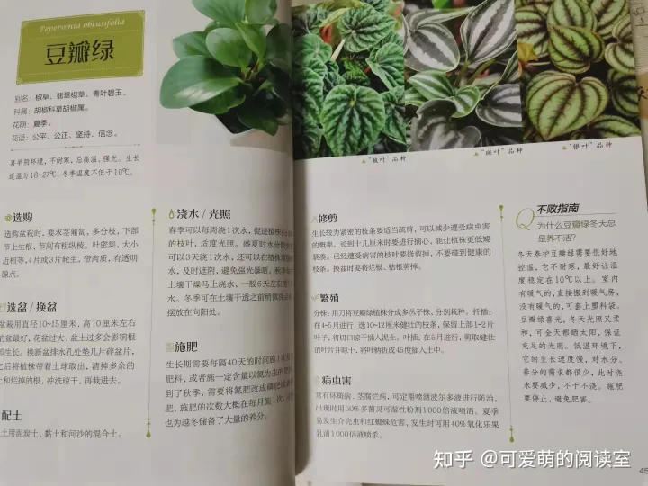 种花养花的书籍推荐，推荐家庭园艺书《零基础学养花》养花技巧+品种图鉴，养花速成！
