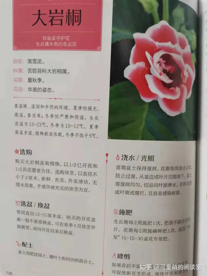 种花养花的书籍推荐，推荐家庭园艺书《零基础学养花》养花技巧+品种图鉴，养花速成！