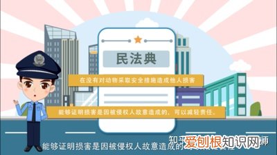 动物是否可以享有法律权利的条件，没有动物保护法的现在，宠物的权利难道真的能被物权法左右吗？