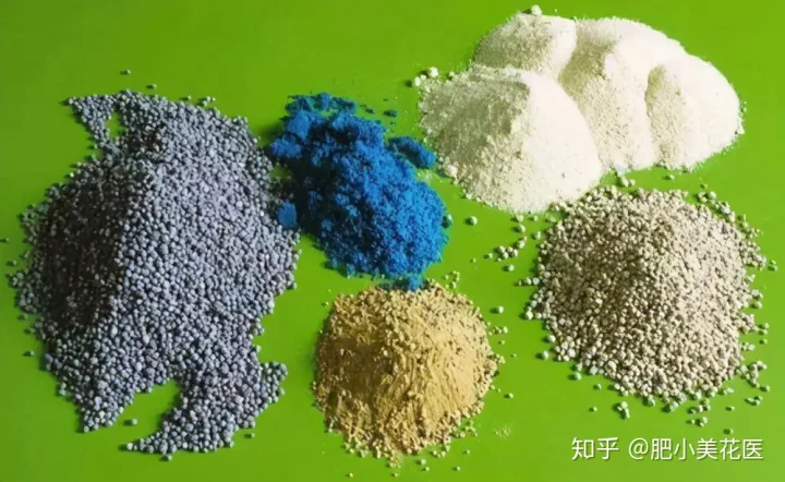 关于养花的小知识有哪些，养花小知识：学会这些小常识，你的花一定会养得非常好