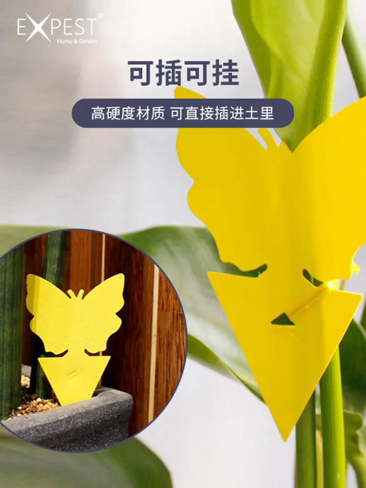 家庭养花知识大全与技巧,养花小知识~