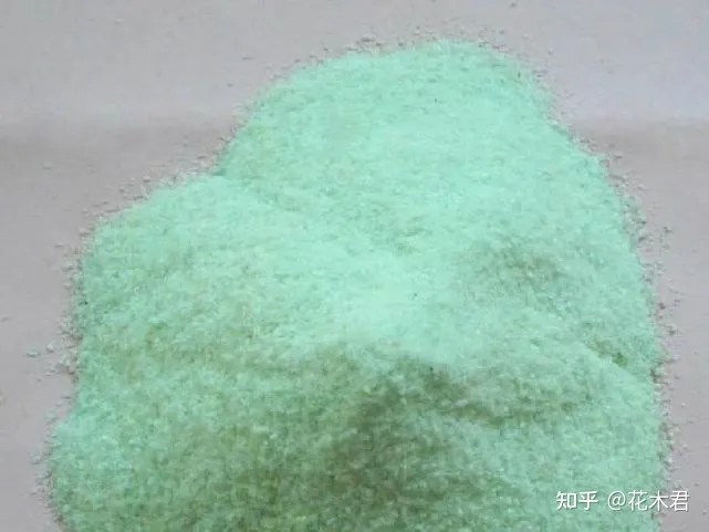 不施肥的花,养花常识|不施肥花叶不旺,盲目施肥柴火成筐