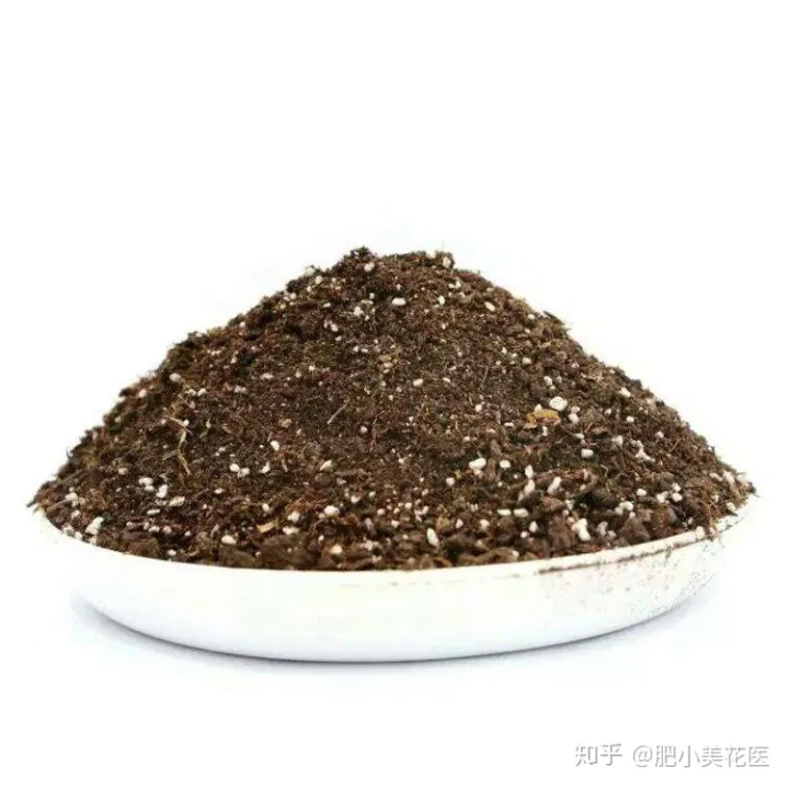 问一下养花指，从养花小白到养花大神，养一盆爆一盆，养花知识大总结请笑纳！