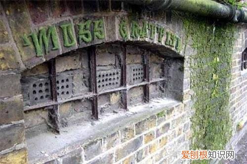 养花的窍门，30个养花实用技巧，看完你也是养花小达人