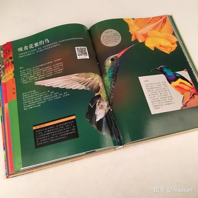小动物百科全书，《中国儿童动物百科全书》