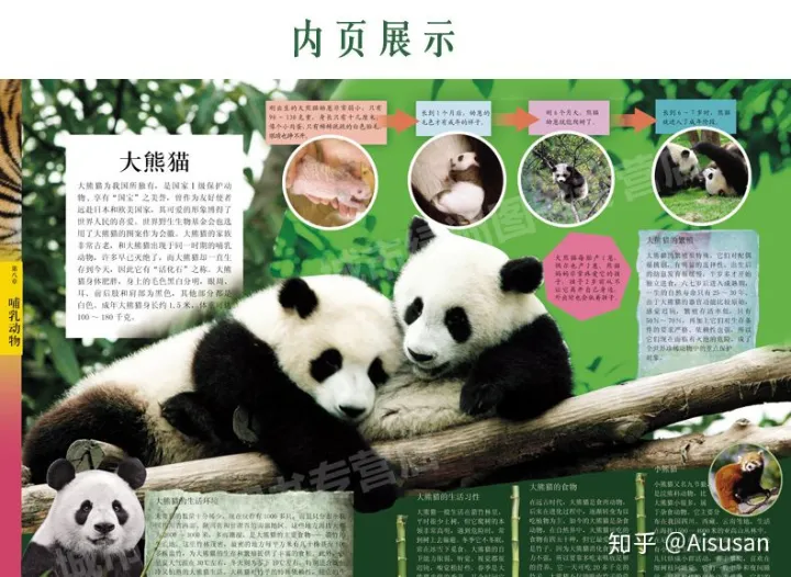 小动物百科全书，《中国儿童动物百科全书》