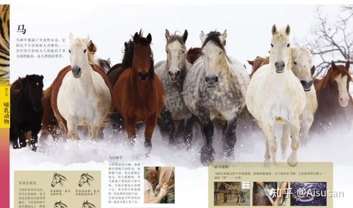 小动物百科全书，《中国儿童动物百科全书》