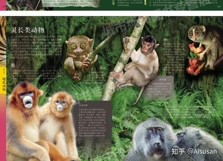 小动物百科全书，《中国儿童动物百科全书》