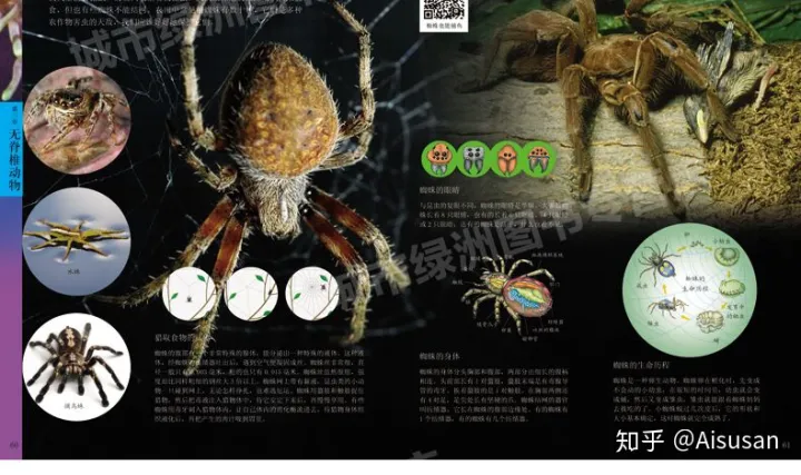 小动物百科全书，《中国儿童动物百科全书》