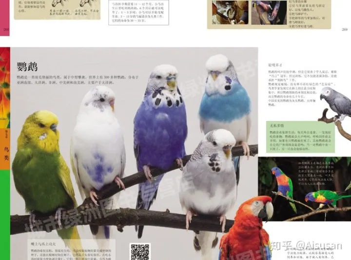 小动物百科全书，《中国儿童动物百科全书》