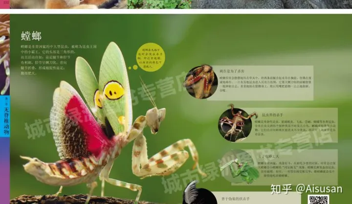 小动物百科全书，《中国儿童动物百科全书》