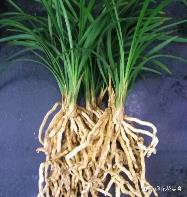 家庭常用盆栽，简单明了又实用的盆栽养护知识