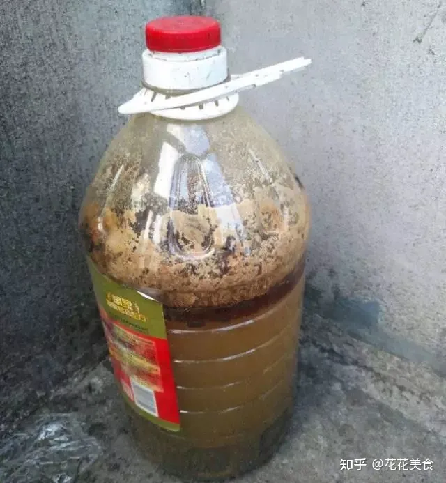 家庭常用盆栽，简单明了又实用的盆栽养护知识