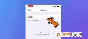 苹果手机软件怎么关闭自动更新