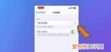 苹果手机软件怎么关闭自动更新