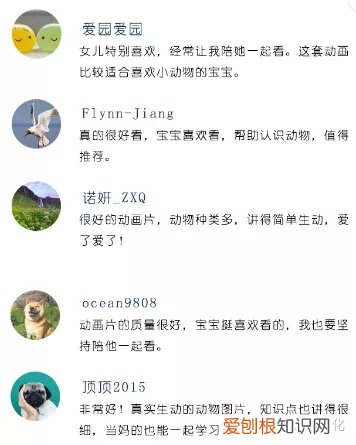 足不出户猜生肖，足不出户就能看遍动物？一切尽在《动物大百科》