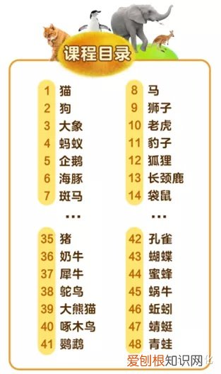 足不出户猜生肖，足不出户就能看遍动物？一切尽在《动物大百科》