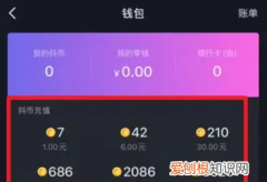 抖币怎么充值，抖音中抖币怎么获得怎么充值