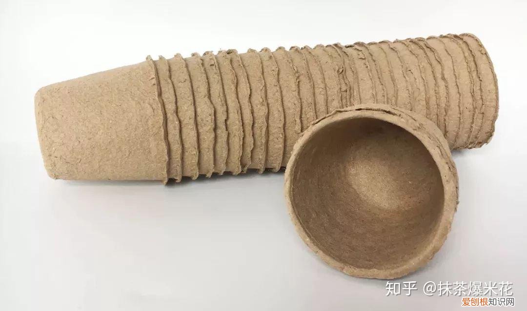适合小花盆的花卉，【养花必看】如何给你心爱的植物，选择合适的花盆？