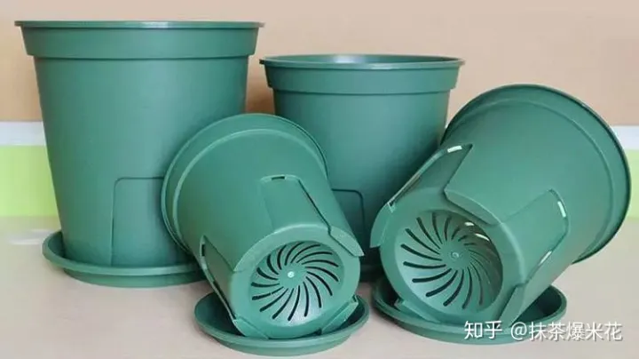 适合小花盆的花卉，【养花必看】如何给你心爱的植物，选择合适的花盆？