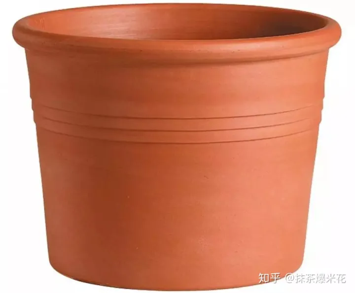 适合小花盆的花卉，【养花必看】如何给你心爱的植物，选择合适的花盆？