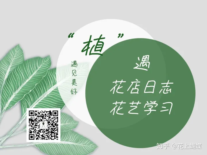 第三次整理更新 花艺讲课开场，花艺入门学习资料