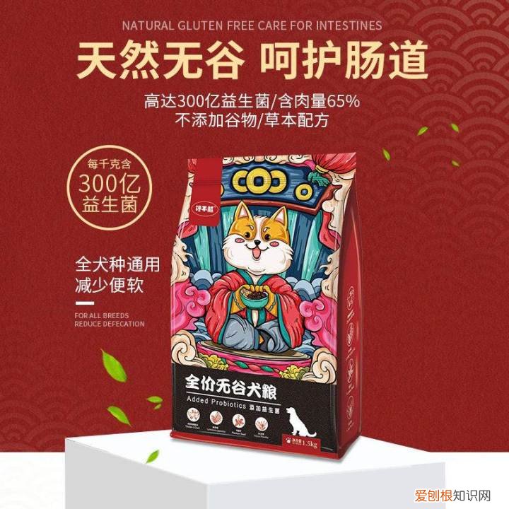关于狗的冷知识太全了，15个鲜为人知的狗狗冷知识，一个比一个匪夷所思