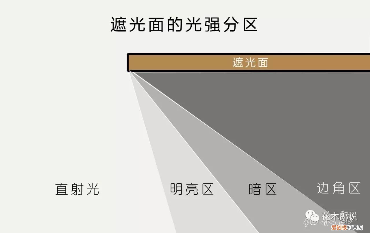 光照不强适合养什么植物，养花入门：正确分辨光照强弱，是你养好植物的前提