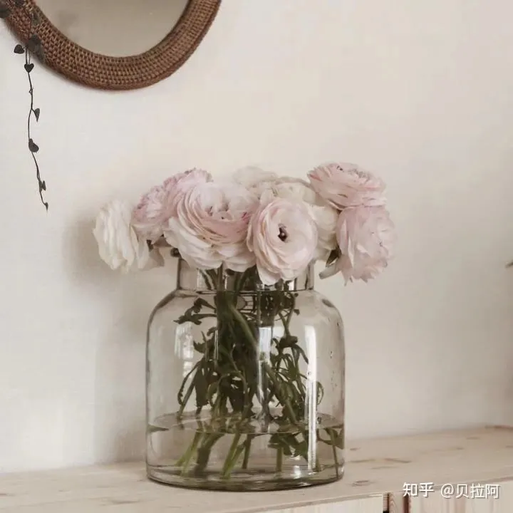 种花用什么可以做养料，纯干货的花材养护知识！看完别说你不会养花！