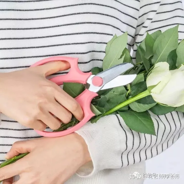 各种养花知识介绍，这些花材养护知识，没有一个不是干货！【收藏版】