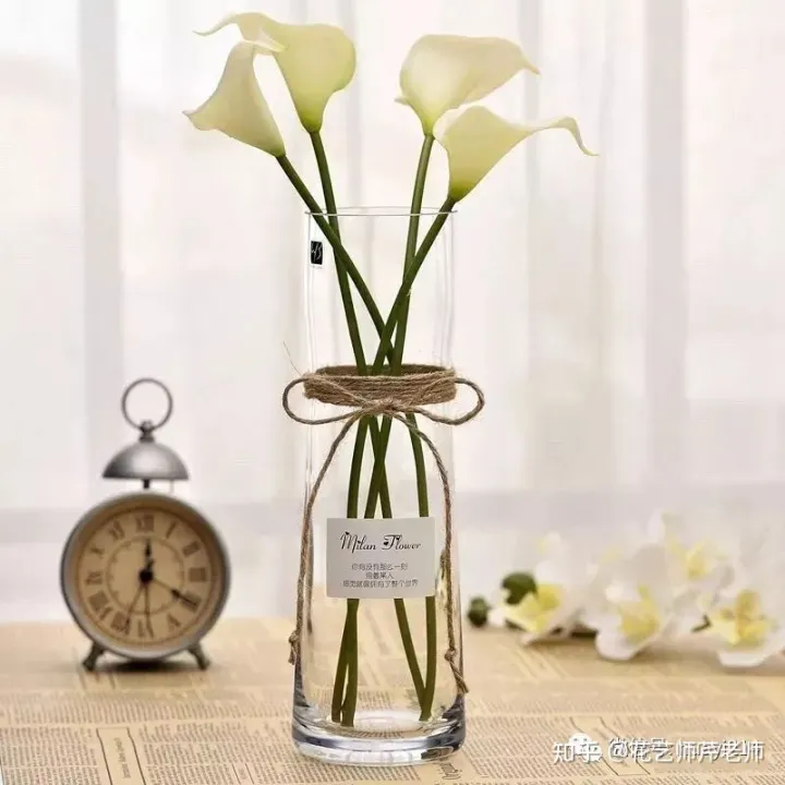 各种养花知识介绍，这些花材养护知识，没有一个不是干货！【收藏版】