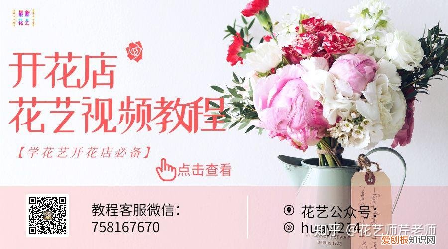 各种养花知识介绍，这些花材养护知识，没有一个不是干货！【收藏版】
