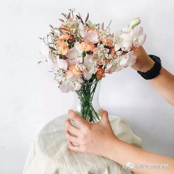 各种养花知识介绍，这些花材养护知识，没有一个不是干货！【收藏版】