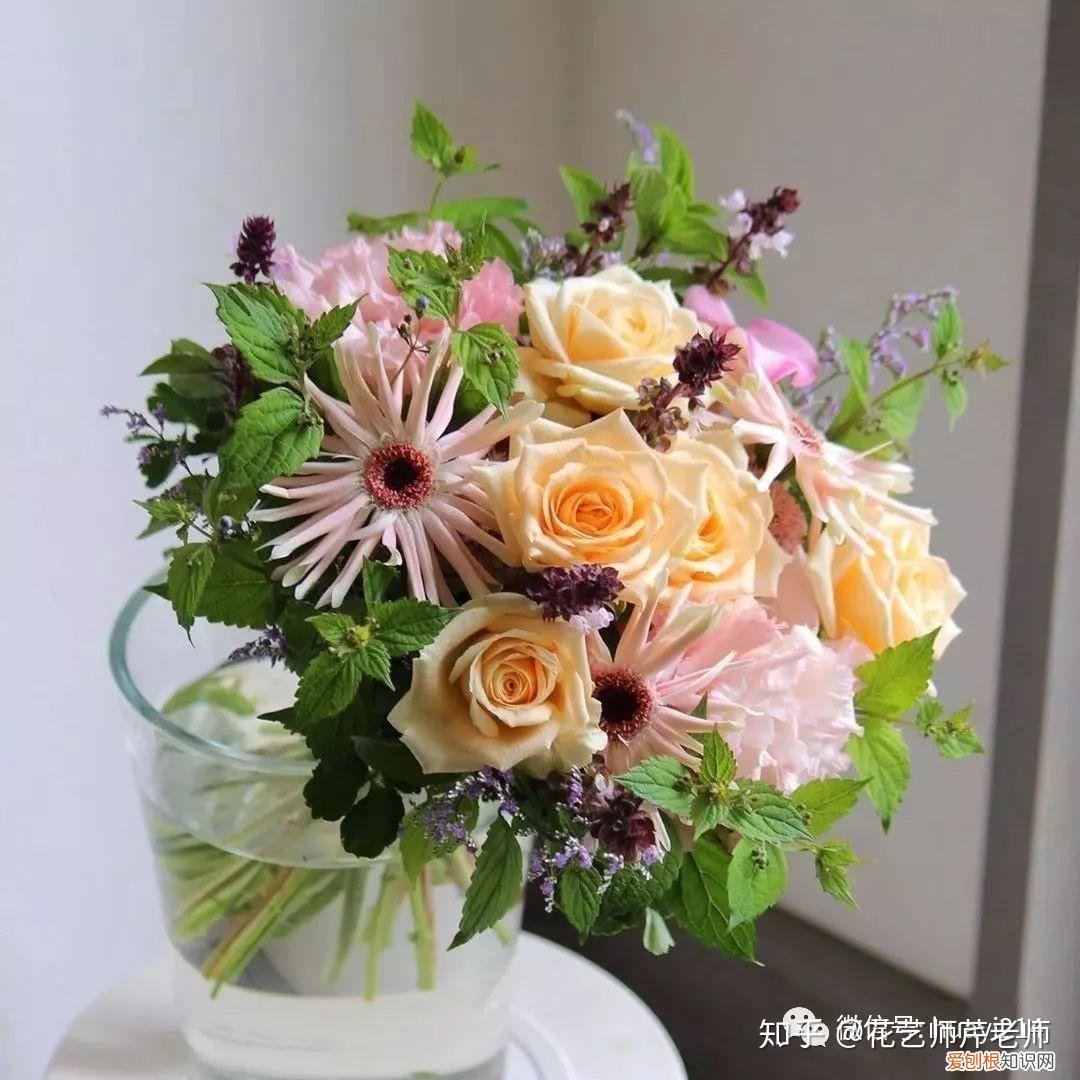 各种养花知识介绍，这些花材养护知识，没有一个不是干货！【收藏版】