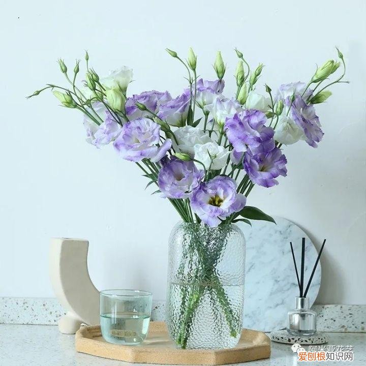 基本常用鲜花的养护方法，花材日常养护小知识