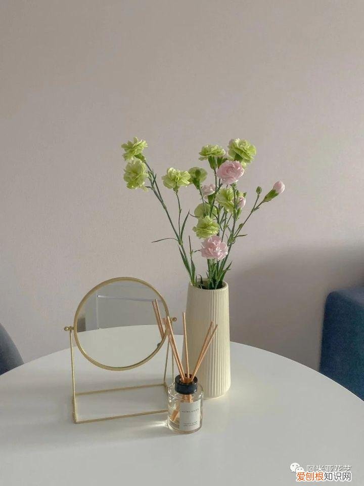 基本常用鲜花的养护方法，花材日常养护小知识