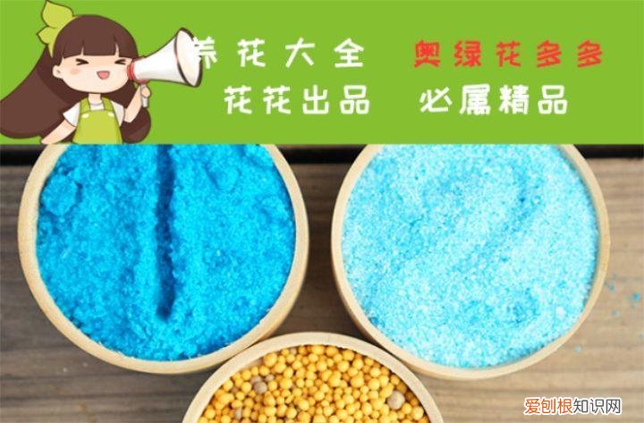 养花的十二种技巧，6个养花实用小窍门，业余爱好者的秘籍，养好花并不难