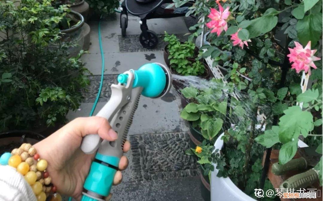 养花的十二种技巧，6个养花实用小窍门，业余爱好者的秘籍，养好花并不难