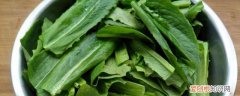 油麦菜食用禁忌 油麦菜有哪些食用禁忌呢