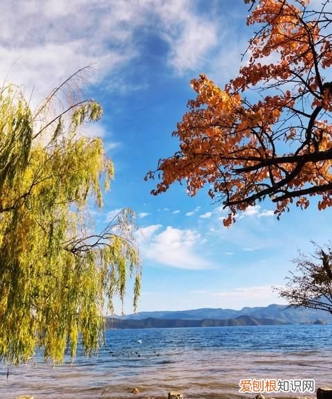 大理丽江泸沽湖香格里拉旅游攻略 成都自驾游泸沽湖丽江多少公里