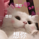 冰冻南美白虾的价格，宠物零食冻干的天花板：南美进口超大白对虾，国家专利技术，人食级别！