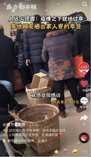 宠物店春联横批，给宠物贴春联、做年夜饭，这些新潮拜年方式火了！