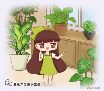 花咋养能养好，花总是养不好，“5个”养花秘籍，学会了进阶养花大神