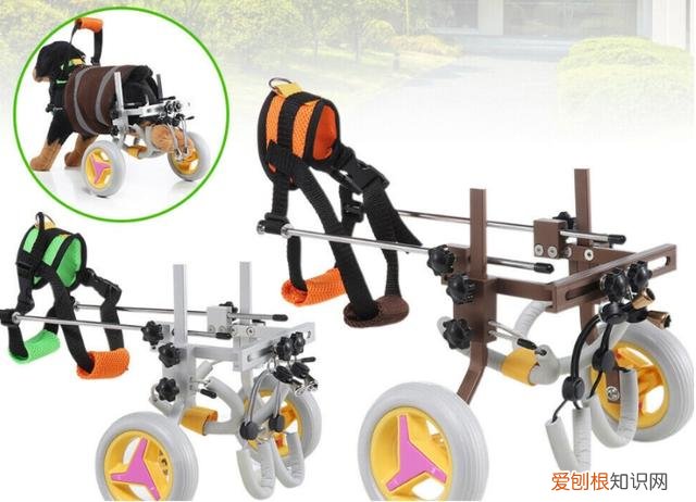 亚马逊宠物类目好做吗，@亚马逊卖家：铲屎官的钱不好赚，热销的宠物产品大多都已申请专利！