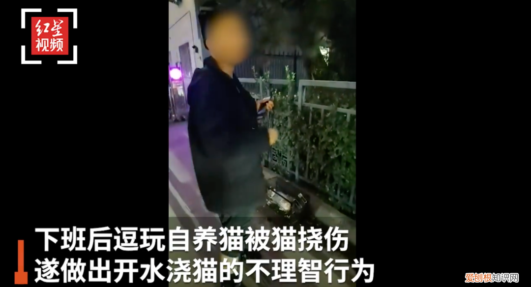 割声带还能说话吗图片，“割声带、截肢、电击……当爱变成我的噩梦”