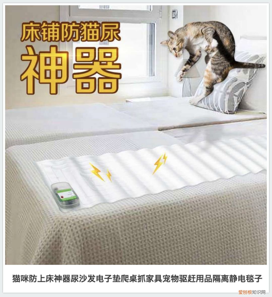 割声带还能说话吗图片，“割声带、截肢、电击……当爱变成我的噩梦”