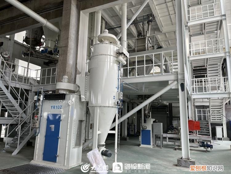 潍坊日报社孙学明，潍坊企业家谈创新⑤|孙洪学：养宠热潮推动企业的探索创新之路